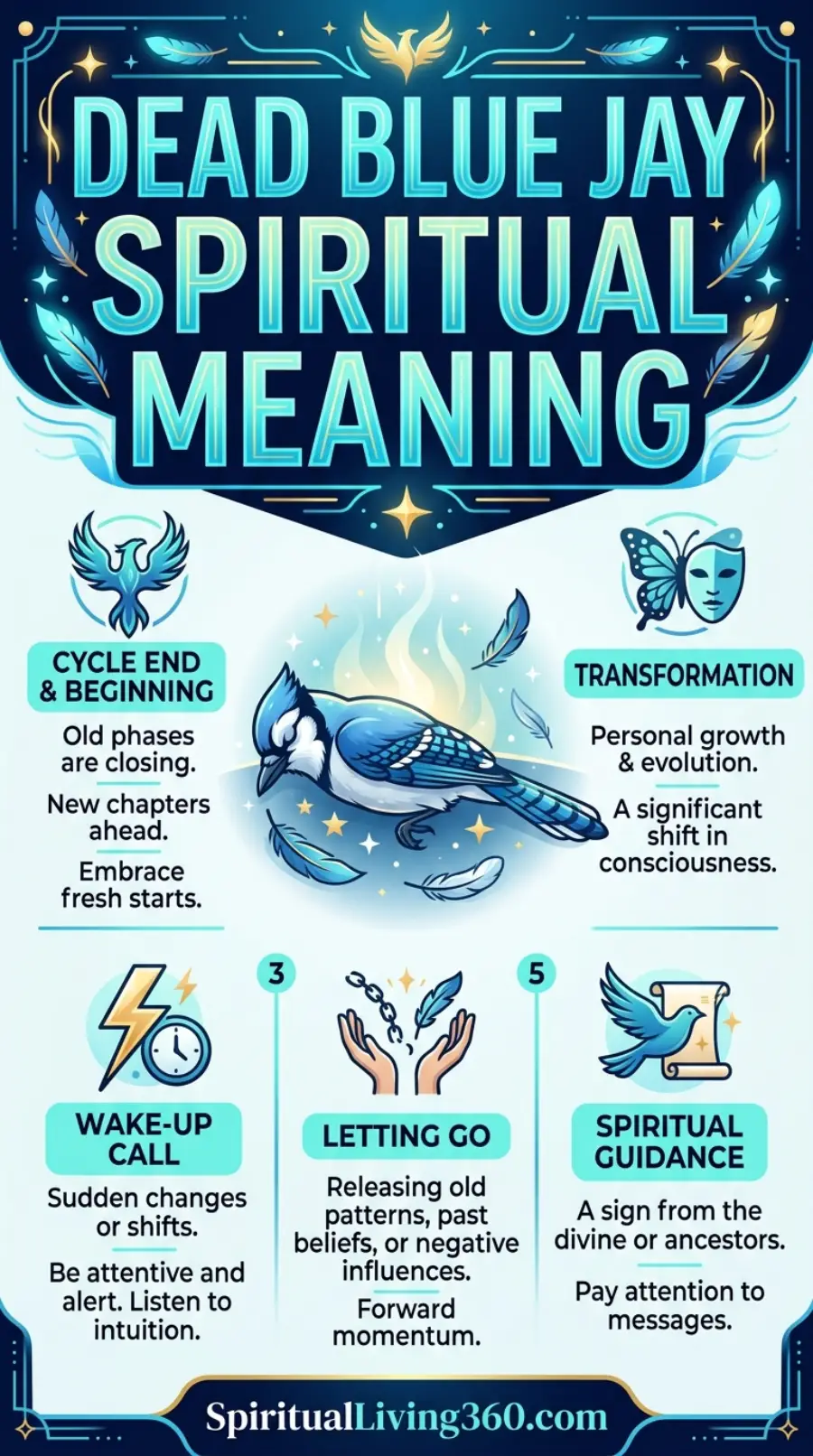 The infographic "Dead Blue Jay Spiritual Meaning" features a central illustration of a blue jay lying peacefully amidst glowing feathers and soft blue light. The top of the image has a bold, layered title in shades of blue and gold, flanked by stylized phoenix and butterfly icons. Five distinct panels at the bottom use symbols like a lightning bolt, a broken chain, and a scroll to explain different spiritual messages. The overall design uses a deep navy border with ornate golden flourishes, creating a respectful and mystical tone for the subject of life cycles.