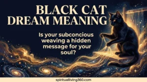 A sleek black cat weaves golden threads of light into a celestial tapestry under a glowing amber sunset. The top of the image features the bold text "BLACK CAT DREAM MEANING" in large letters. Centered in the middle is the question "Is your subconscious weaving a hidden message for your soul?" The bottom edge displays the website URL "spiritualliving360.com" against a dark background. The cat’s eyes glow with a soft golden hue reflecting the cosmic light.