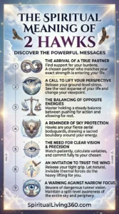 This informative graphic explains the spiritual meaning of seeing two hawks circling, detailing seven powerful messages ranging from partnership to perspective. The first few meanings include the arrival of a true partner who matches your strength and a call to lift your perspective to see the vast expanse of your life. Middle points highlight the balancing of opposite energies—action and rest—and the reminder of "sky protection" where hawks act as aerial bodyguards. Finally, the guide emphasizes the need for clear vision, trusting natural forces, and a warning against narrow tunnel vision.