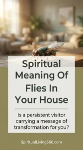 A high-resolution close-up photo shows a housefly with shimmering, iridescent wings resting on a wooden surface in a sunlit room. The text "Spiritual Meaning Of Flies In Your House" is prominently displayed in bold, dark lettering in the center. Below the title, a soft white box contains the reflective question, "Is a persistent visitor carrying a message of transformation for you?" The website SpiritualLiving360.com is visible at the bottom. The overall scene is bright and airy, focusing on the insect as a symbol of spiritual significance and nature.